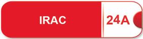 IRCA24