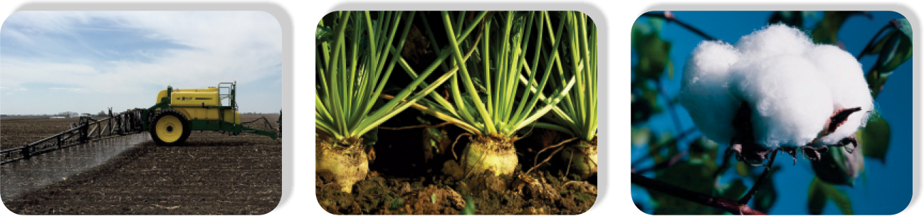 Trifluralin2
